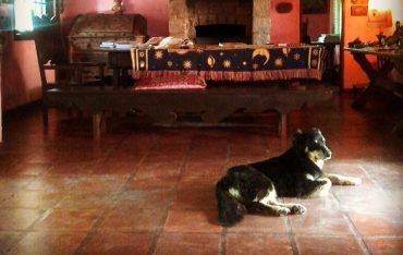 Diário da Casa do Sol (Parte 1)